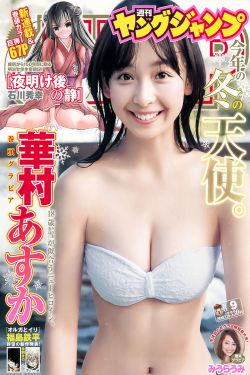 海贼王女帝本子